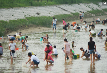 滨州幸福河汛期水位大降 民众扎堆捞蛤蜊