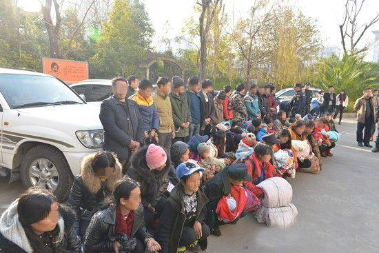 此次抓捕行动，该团伙共有78名犯罪嫌疑人落网，其中12人在凉山被抓获，66人在山东被抓获。在山东被抓获的嫌疑人中，有36人为凉山籍，被凉山警方押送回凉山，其余嫌疑人由山东警方处理。行动中，解救出了15名婴儿。