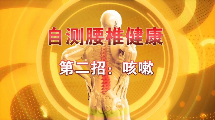 2016年2月17日播出《走进腰椎的3D世界》