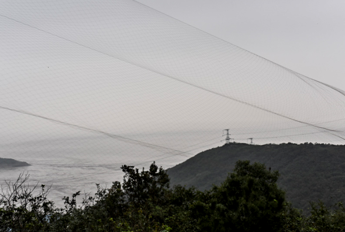 　　浙江嘉兴，秦山核电站周围，棕黄色或黑色的鸟网依山势从山顶绵延数百米。多名候鸟保护志愿者日前调查发现，位于浙江省嘉兴市海盐县的秦山核电站外多处山林中，藏有大量捕鸟网。志愿者们担心，这些捕鸟活动除了造成鸟类死亡外，捕鸟人在山林中的抽烟行为等可能引发山火，威胁秦山核电站的输电线路和相关电力设施的安全。
