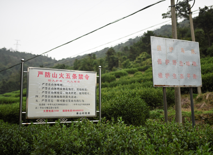 　　浙江嘉兴秦山村，当地的“保护鸟类”等宣传告示牌。