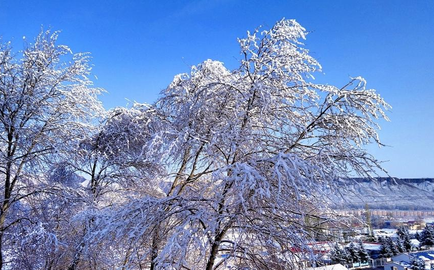 10月20日晚，肃南裕固族自治县迎来2016年第一场雪，山上雪花飞舞在漫山丛林，点缀着松柏怪石，在皑皑白雪妆扮下，县城红湾寺显得如梦似幻，分外妖娆。居气象部门统计部分山区积雪厚度达6厘米。