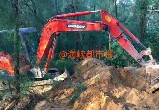 　　由于受近期台风影响，金饰的具体掩埋地点变得模糊难辨，找起来难度很大，专案组民警使用探测仪、挖土机和锄头对防护林“搜”了个遍。由于民警的不懈努力，搜寻三天后，10月28日下午15时许，终于发现了金饰掩埋地，金饰出土的一刻，令人振奋。