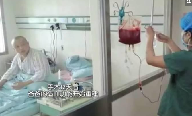 　　7月6日，骨髓移植手术顺利进行，接下来就是等待12天的急性排斥反应发生期。曹磊后期的恢复也很顺利。