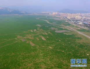 中国最大淡水湖鄱阳湖变“草原”