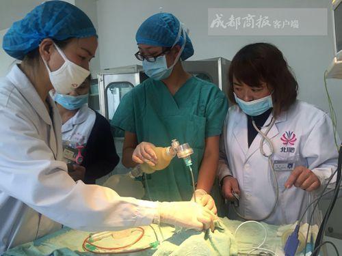 11日晚，张先生和妻子何女士，整晚难以入睡。他们的心中，已有了初步决定，放弃治疗。因为在当天下午和晚上，他们自己在网上查询了早产儿后遗症，发现出现后遗症几率非常大，同时，他们的朋友也劝说放弃。12日一早，张先生又给父母打了电话，说出了自己的决定，电话中，张父张母没有明确回答，只传来哭泣声音，最后表示由张先生夫妇自己决定。与此同时，何女士也把何母叫在身旁，流泪告诉了何母。说完决定，何女士大哭起来。一旁的何母，眼泪再也忍不住，此时的她，紧紧抱着何女士。