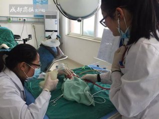 双胞胎女婴早产不足1公斤 父母考虑5天放弃治疗