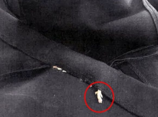 老鼠被缝进新衣!女子将知名服装品牌告上法庭