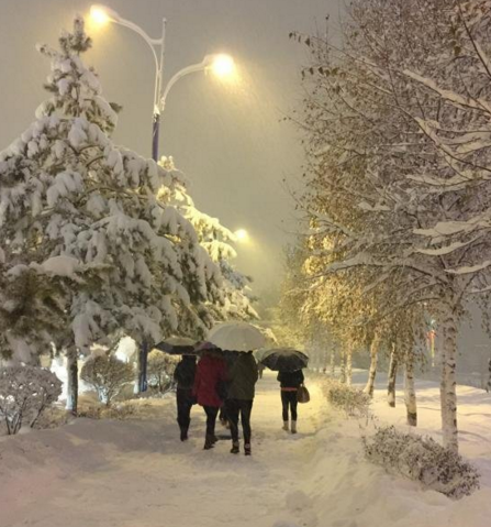 　　据悉，暴雪数日以来，阿勒泰交通运输系统，在阿勒泰境内干线公路，已出动抢险队员88人次，共清理积雪50.57万立方米，救援车辆38辆，救援人数175人。