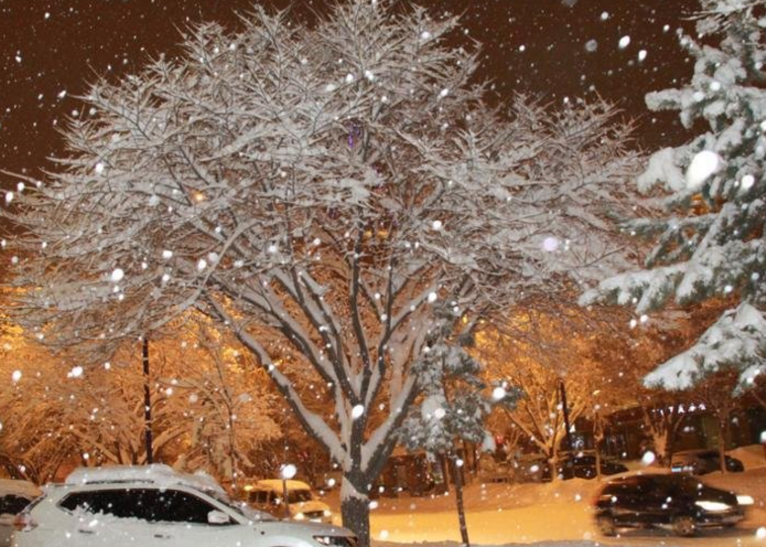　　阿勒泰地区气象台副台长齐贵英说，阿勒泰市区和东部各县暴雪要持续到16日，暴雪天气将会对公路、铁路、民航及牧业生产带来非常严重的影响。