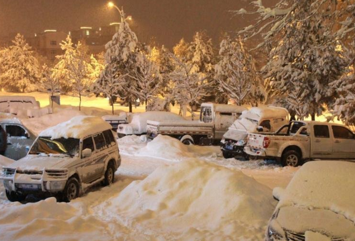 　　图为覆盖着白雪的街头车辆。
