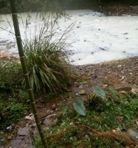　　针对此次事情，桃源县环保局已按程序立案，待环境监测报告结果出来后将依法依规严肃处理。桃源县县委宣传部靳部长表示，经调查，确定不含氰化物，没有剧毒，水里的鱼虾都是存活的，但具体情况要等到环境监测报告结果。
